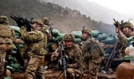 花儿的战争在线观看50,在线观看50集，揭秘青春热血的青春传奇