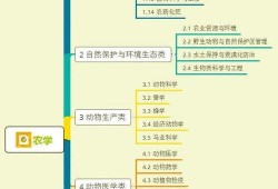 海参爆料超人视频大全集,揭秘超人视频大全集背后的精彩故事
