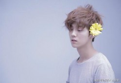 大幂幂爆料鹿晗视频大全,视频大全曝光独家瞬间