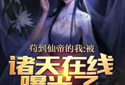 爆料视频小说在线观看